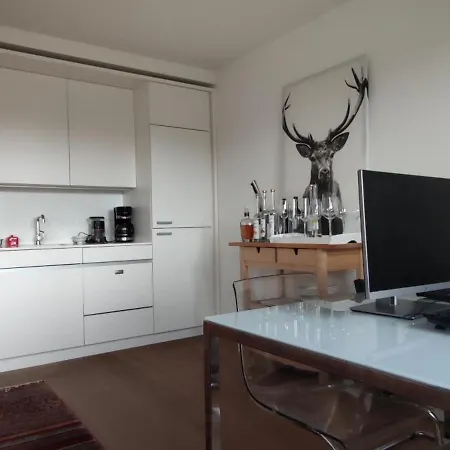 Apartment Loft Im Herzen Der Berner Altstadt *